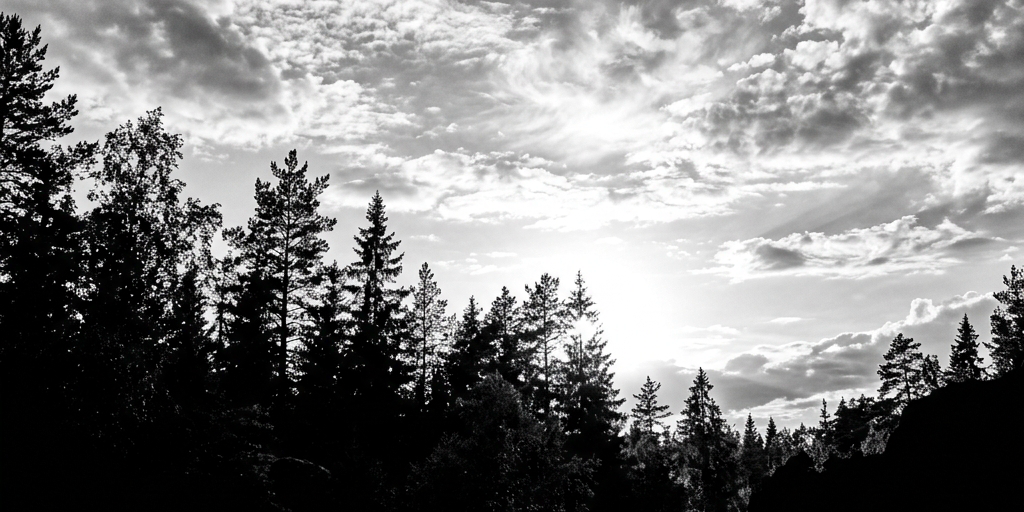 Forest sample